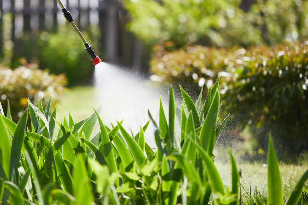 24/7 Emergency Termite Control experts in Ramblewood, NJ