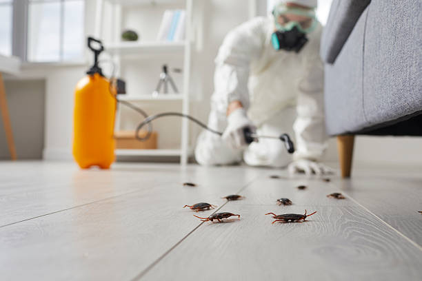 Trusted Fumigation Services service in Ramblewood, NJ - Nex Pest Control